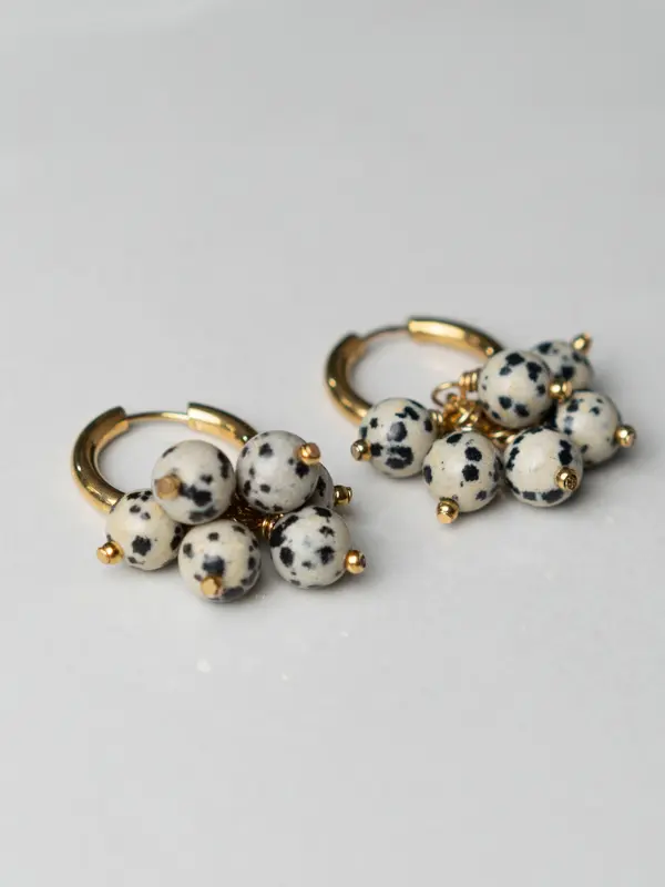 Dalma Dots 1.webp Dalma Dots 1.webp